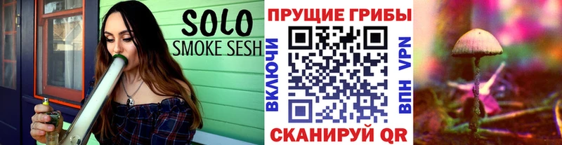 Галлюциногенные грибы мицелий  купить   Лахденпохья 