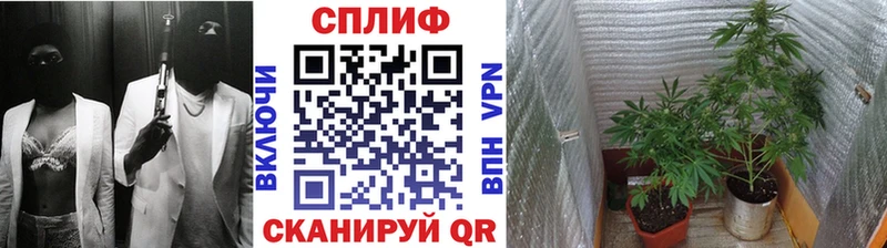 купить наркотик  Лахденпохья  Конопля AK-47 